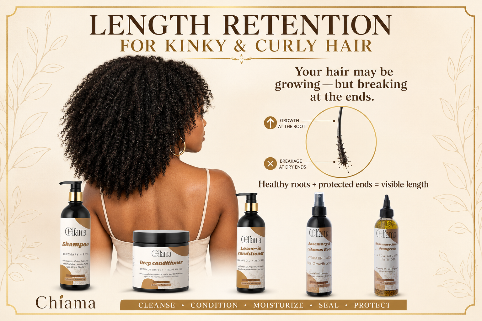 Length Retention for Kinky and Curly Hair: Why Is Your Hair Not Getting Longer?